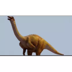 Gallimimus Studio Max 3D model