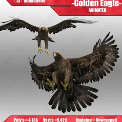 Golden Eagle Animated Low-poly  3D model