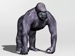 Gorilla 3D model