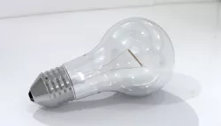 Light Bulb