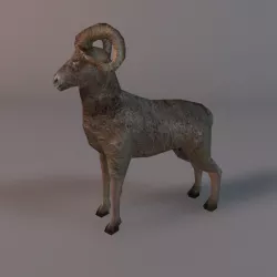 Low poly ram Low-poly  3D model
