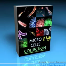 Micro cells models collection 3D model