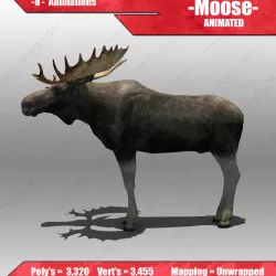 Moose Animated 3D model