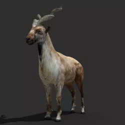 Mountains Goat 3D model