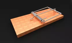 Mouse Trap