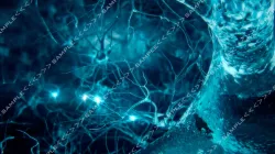 Neurons stock footage 3D model