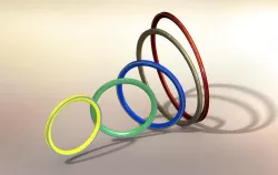 Newsonsportec bike rims