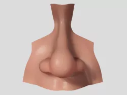 nose realistic nose human nose 3D model