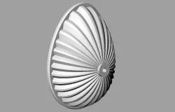 part of egg