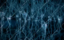Pyramidal-Neurons-scene 3D model