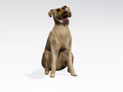 Sitting dog 3D model