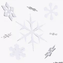 Snowflakes 3D model