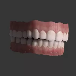 teeth 3D model
