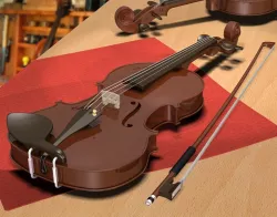 Violin