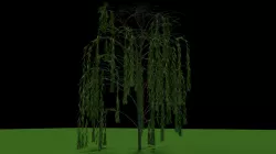 Willow Tree 3D model