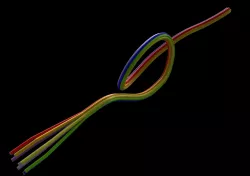 Wire Harness