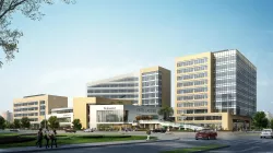 3d building 818 3D model
