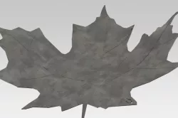 3D Maple leaf 