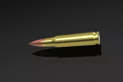 50 cal. shell