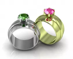 Anillo BiRiel