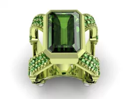 Anillo ring 