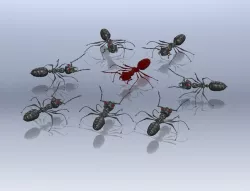 ANT ASSY