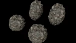 Asteroids 3D model