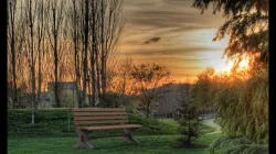 Bench