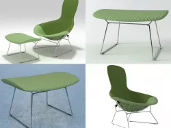 Bertoia Bird 3D model