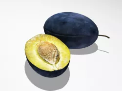 Blue plum 3D model