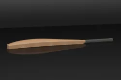 Cricket Bat