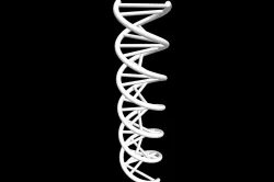 DNA string 3d model