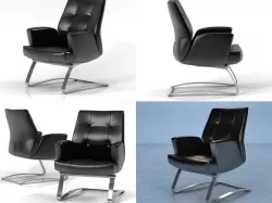 DS-258 01 3D model