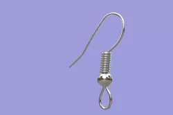 Earring Hook
