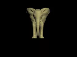 Elephant 3d models maya scene and 3ds max file 3D model