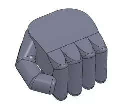 Fist