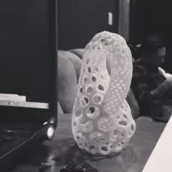 Hex Klein Bottle 3D model