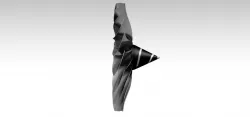 high bypass turbofan front fan (10:1 ratio)
