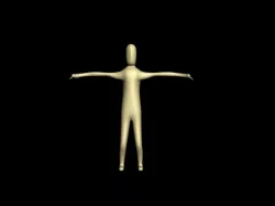 Human