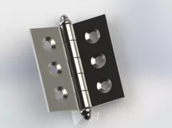 Inox Hinge