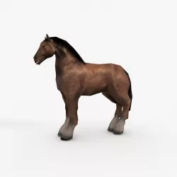 Low Poly Horse Low-poly  3D model