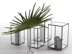 Palm Leaf with Candles 3D model