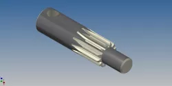 Pinion