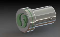 Plug and ring