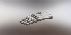 robotic hand