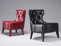Sam 3D model