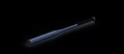 Softball Bat
