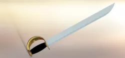 Sword