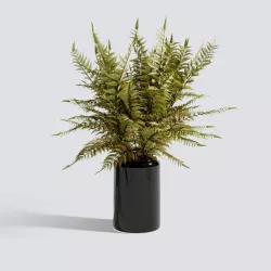 Autumn Fern Stem 3D model