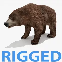 Bear - Rigged - Animated Low-poly  3D model